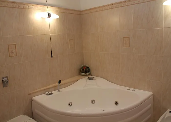 酒店 吉安弗兰科公园酒店 罗切拉伊奥尼卡